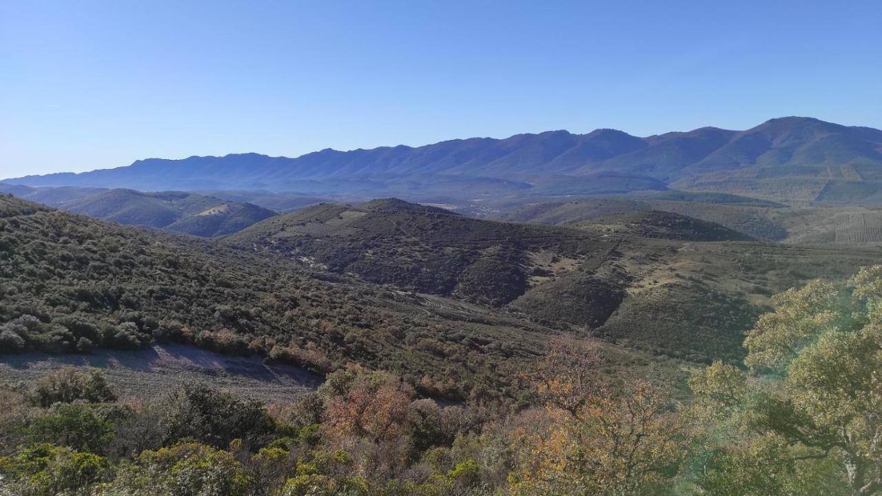 Casa Rural La Colmena Del Geoparque Navatrasierra Kültér fotó