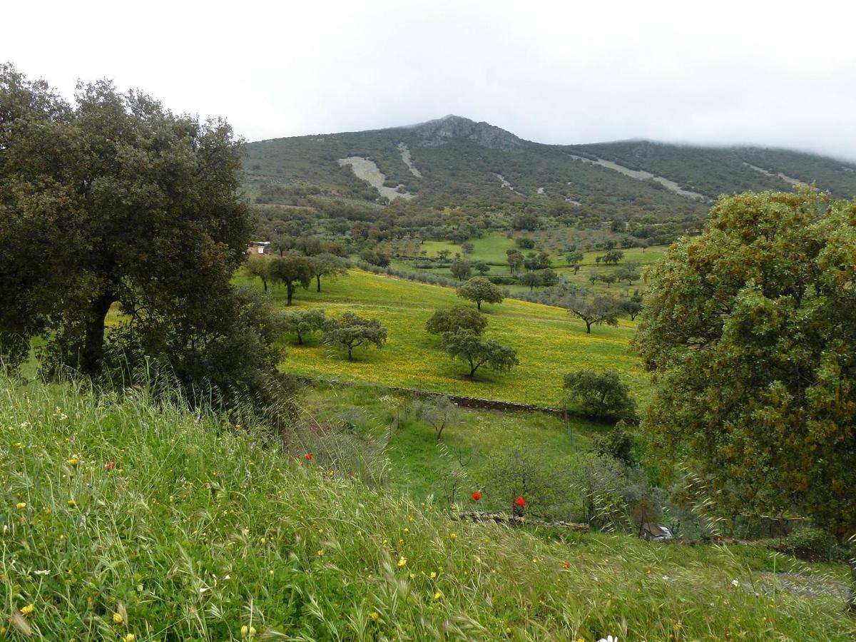 Casa Rural La Colmena Del Geoparque Navatrasierra Kültér fotó