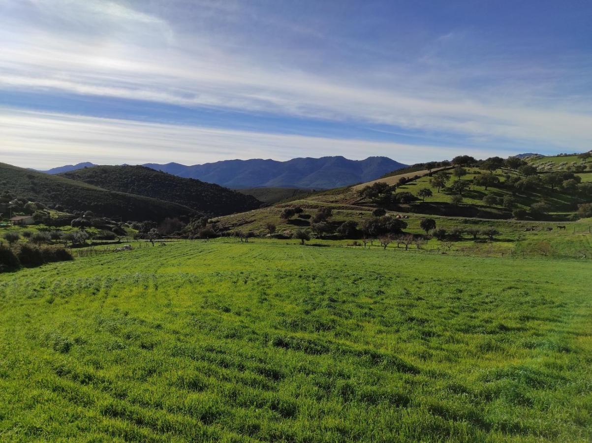 Casa Rural La Colmena Del Geoparque Navatrasierra Kültér fotó