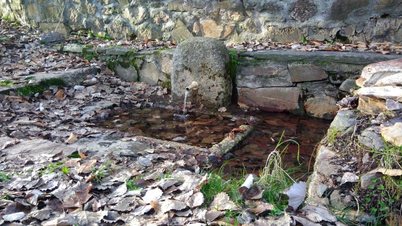 Casa Rural La Colmena Del Geoparque Navatrasierra Kültér fotó