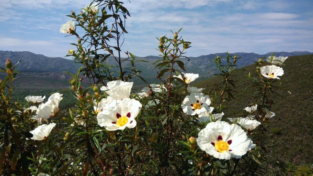 Casa Rural La Colmena Del Geoparque Navatrasierra Kültér fotó