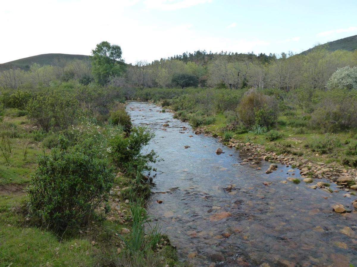 Casa Rural La Colmena Del Geoparque Navatrasierra Kültér fotó